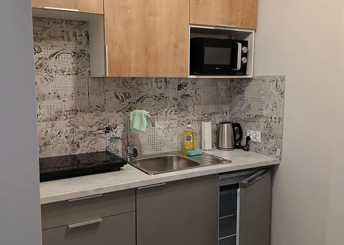 בית הארחה Chruscielowka Ap Nr 1 טליץ'